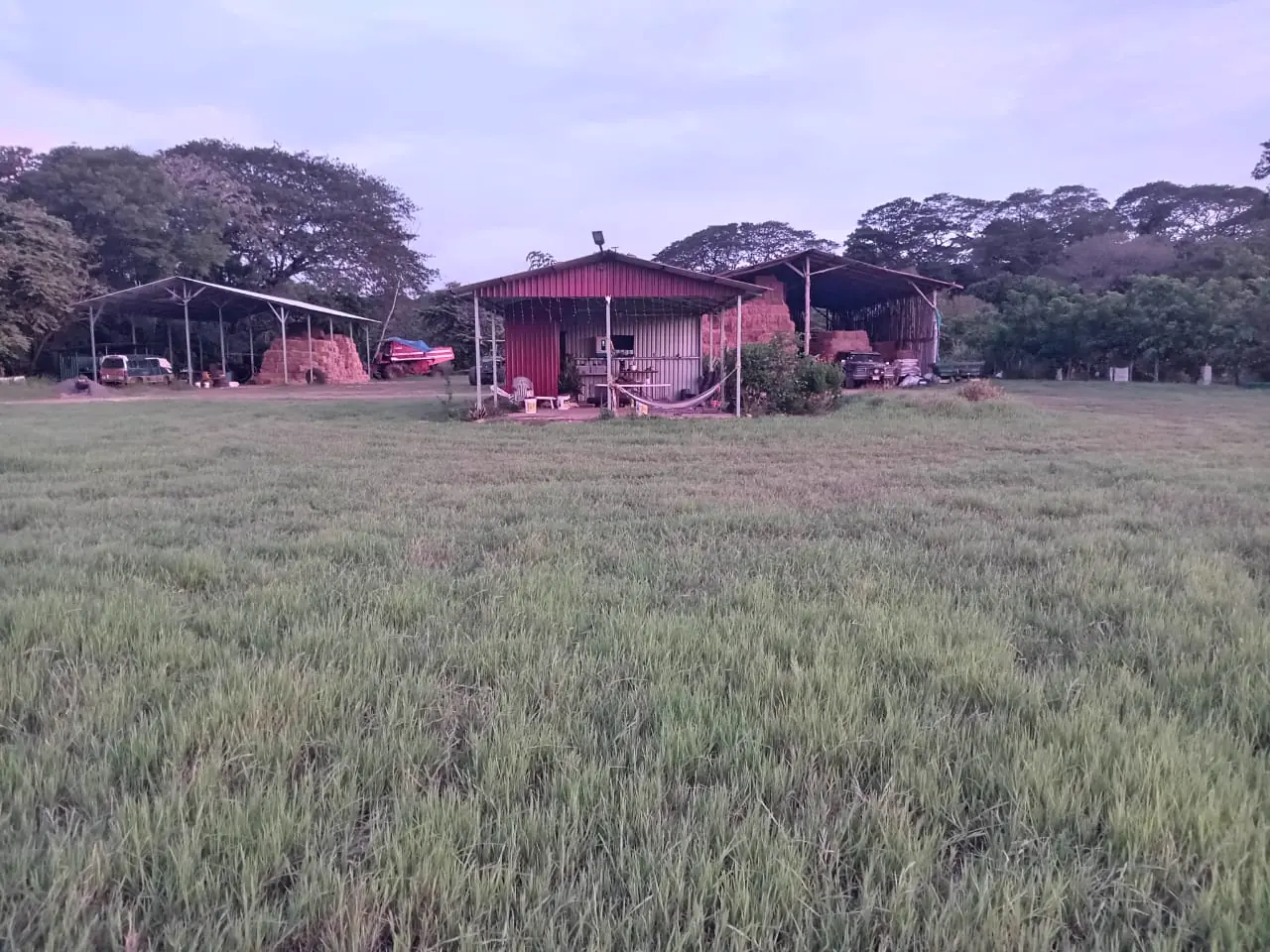 Galerones del negocio para almacenar pacas de heno