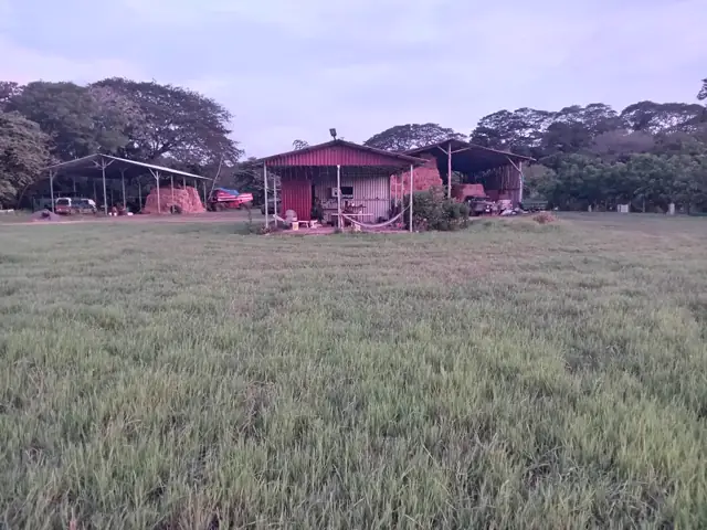 Galerones utilizados para almacenar pacas de heno