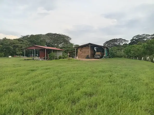 Galerones con pacas de heno junto a un campo